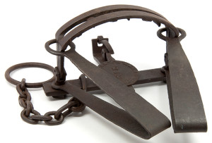 bear trap